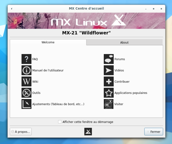 mx-accueil.png