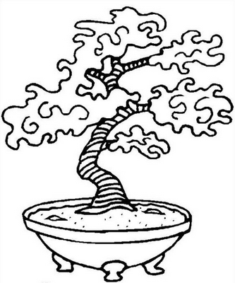 bonsai.jpg