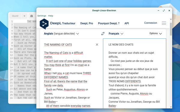 deepl-appimage#2.png