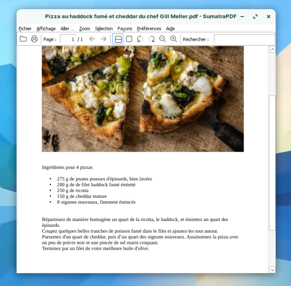sumatrapdf #1.png