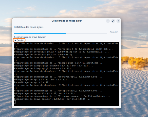 terminal #3.png
