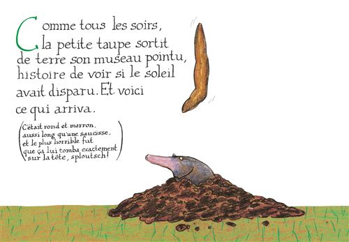 Petite taupe.jpg